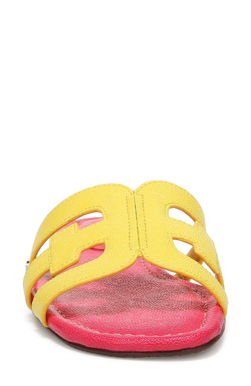 Shop Sam Edelman Bay Cutout Slide Sandal In Mimosa Yellow/ultra Fuchsia