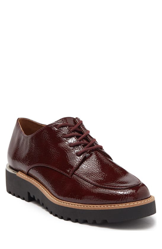 Franco Sarto Charles Patent Derby In Burgundy Patent