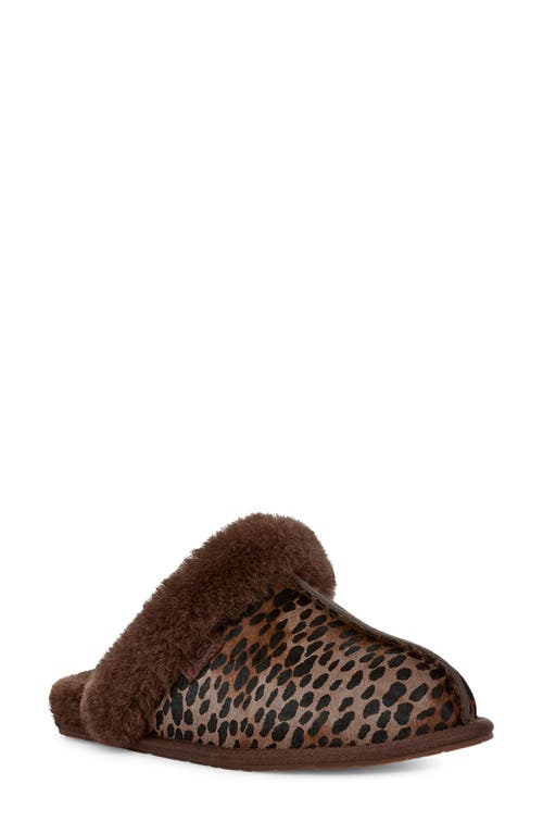 Shop Ugg(r) Scuffette Genuine Calf Hair Slipper In Burnt Cedar