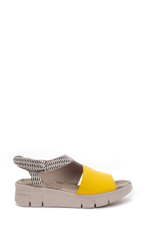 Shop Cloud Isla Peep Toe Sandal In Yellow/drops