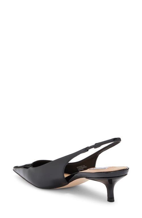 Shop Steve Madden Kari Pointed Toe Kitten Heel Slingback Pump In Black Patent