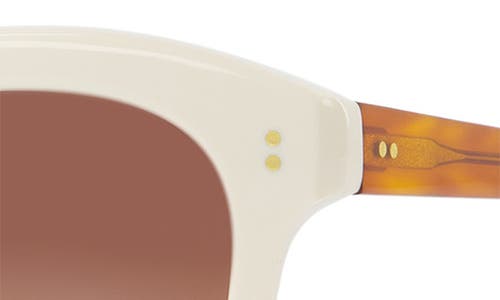 Toms Gwyneth 52mm Round Sunglasses In Chalk/honey Tortoise/brown