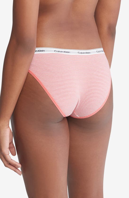 Shop Calvin Klein Assorted 3-pack Logo Bikinis In Speakeasy