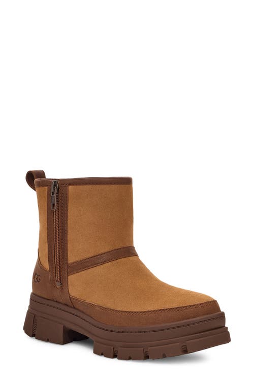 Shop Ugg(r) Ashton Zip Waterproof Boot In Chestnut