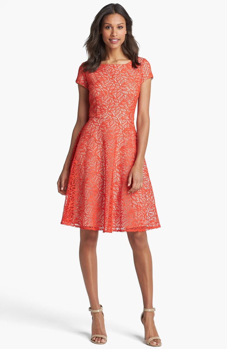 Taylor Dresses Cap Sleeve Lace Fit & Flare Dress | Nordstrom