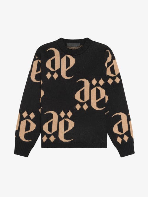 PLACE OF ELMS PLACE OF ELMS NERO CASTANO MONOLINK SWEATER 