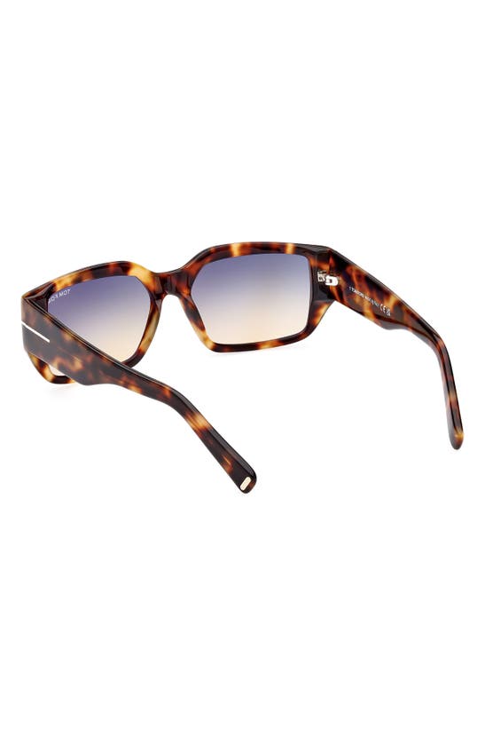 Tom Ford Andres 56mm Square Sunglasses In Coloured Havana / Smoke