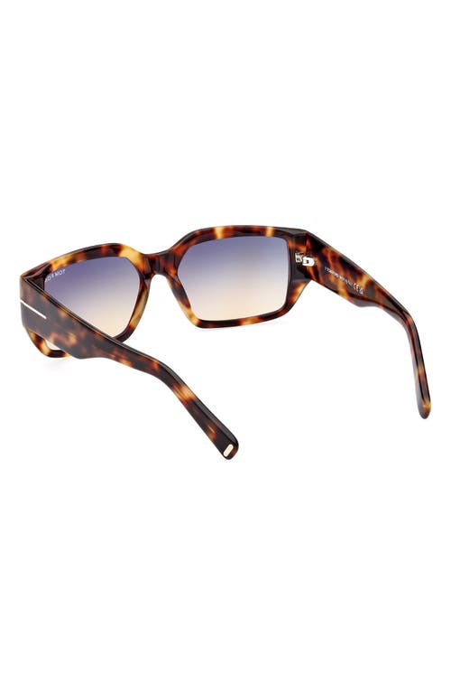 Tom Ford Andres 56mm Square Sunglasses In Coloured Havana/smoke