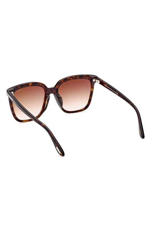 Tom Ford 55mm Butterfly Sunglasses In Dark Havana/gradient Brown