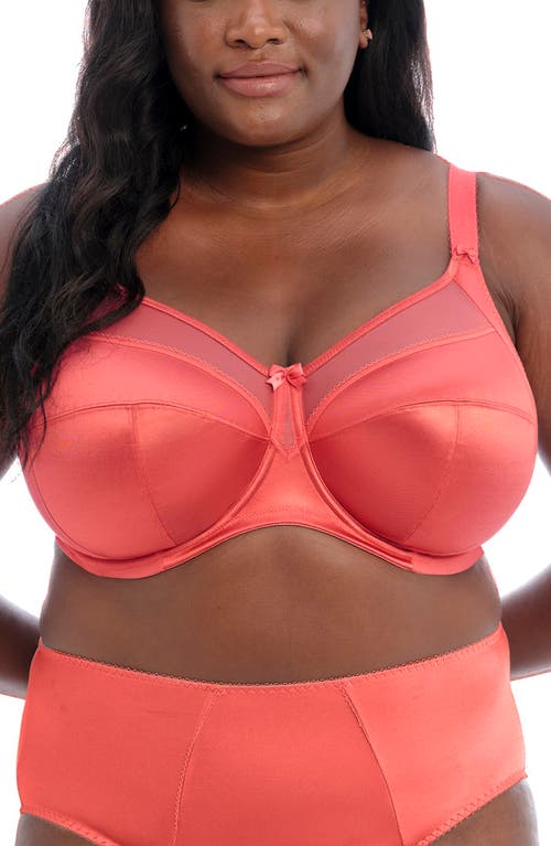 Keira Full Figure Underwire Bra in Mineral Red
