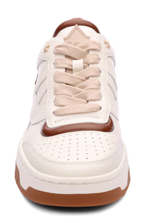 Ash Blake Panelled Leather Sneakers In Gardenia/amber