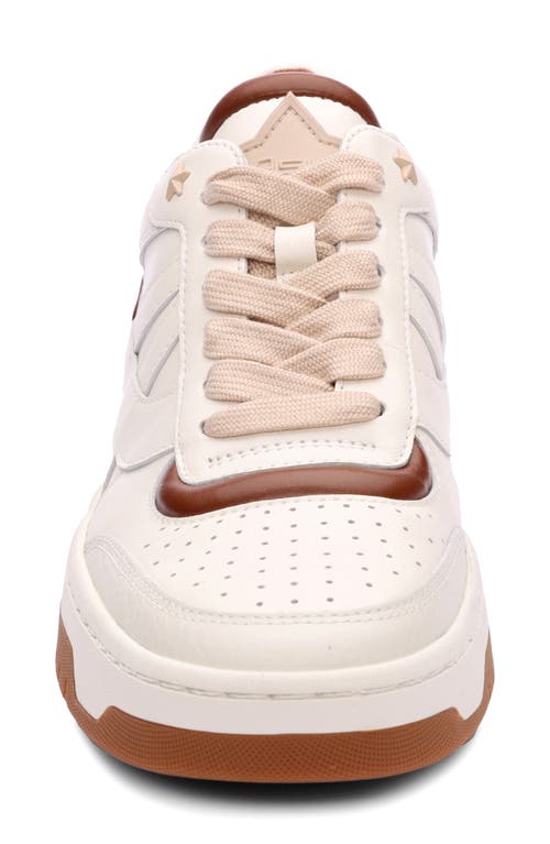 Shop Ash Blake Sneaker In Gardenia/amber