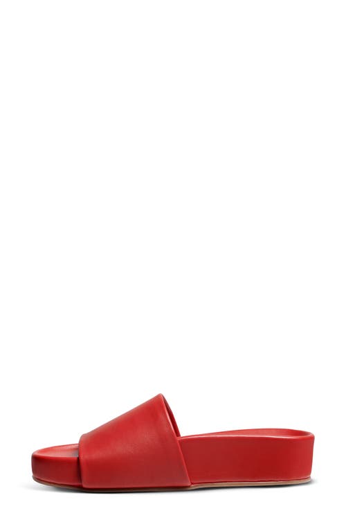 Shop Beek Pelican Slide Sandal In Red