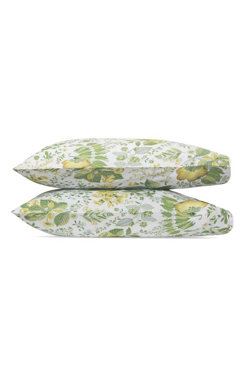 Matouk Pomegranate Set of 2 500 Thread Count Pillowcases in Citrus at Nordstrom, Size King