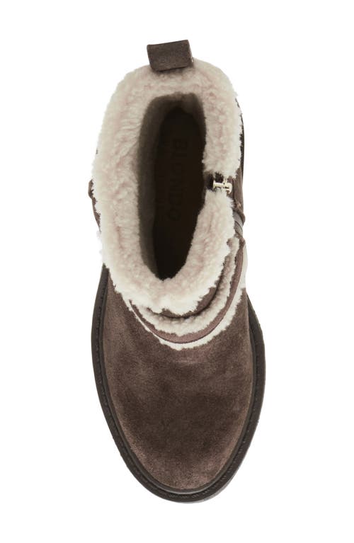 Shop Blondo Teryn Waterproof Faux Shearling Bootie In Java Suede