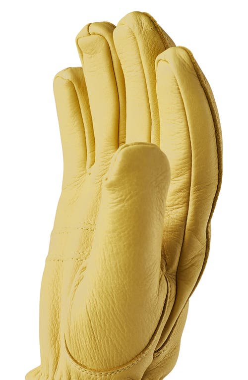 Shop Hestra Tore Deerskin Leather Gloves In Yellow