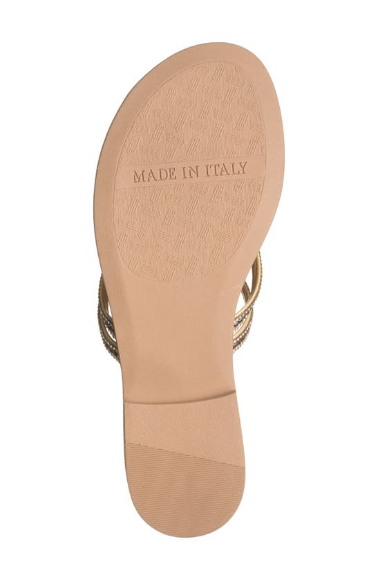 Shop Italian Shoemakers Tailis Flip Flop In Beige