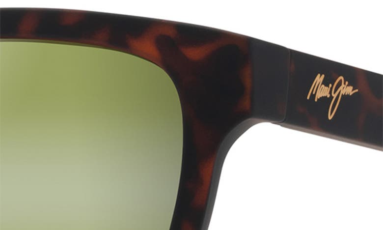 Shop Maui Jim Kapii 54mm Gradient Polarizedplus2® Square Sunglasses In Matte Dark Havana