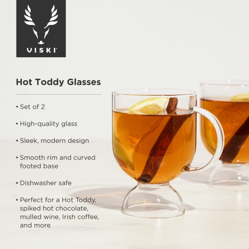 Viski Raye Hot Toddy Glasses Set Of 2 In Clear