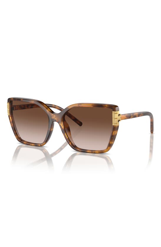 Shop Tory Burch 58mm Eleanor Square Sunglasses In Tortoise