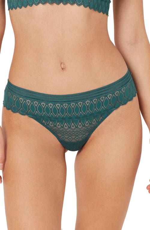 Gravure Lace Hipster Panties in Pine Green