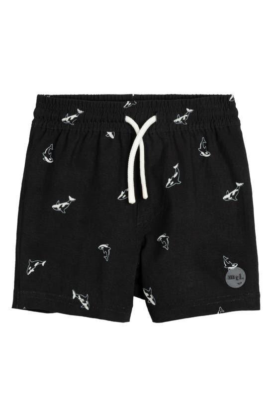 Miles The Label Babies' Orcas On Black Swim Trunks In 900 Black