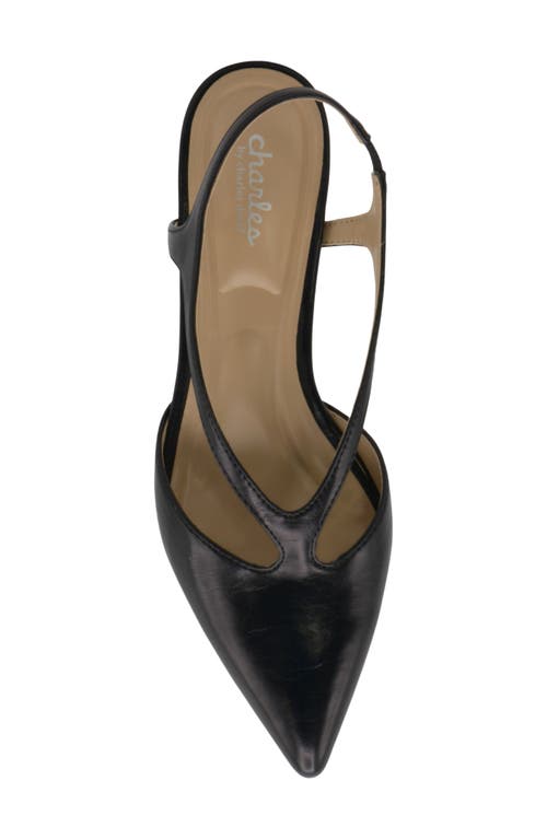 Charles By Charles David Addi Pointed Toe Kitten Heel Pump In Black