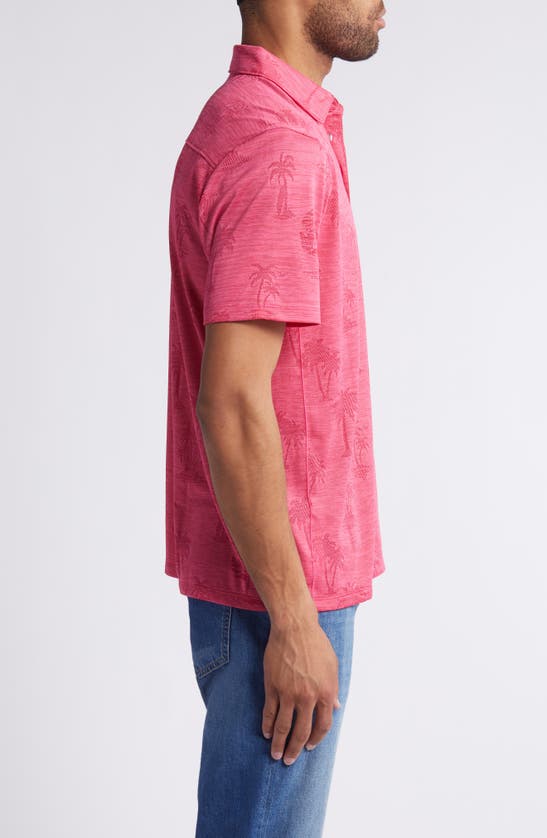 Shop Tommy Bahama Palm Coast Palmera Islandzone® Recycled Polyester Polo In Fuschia Rose