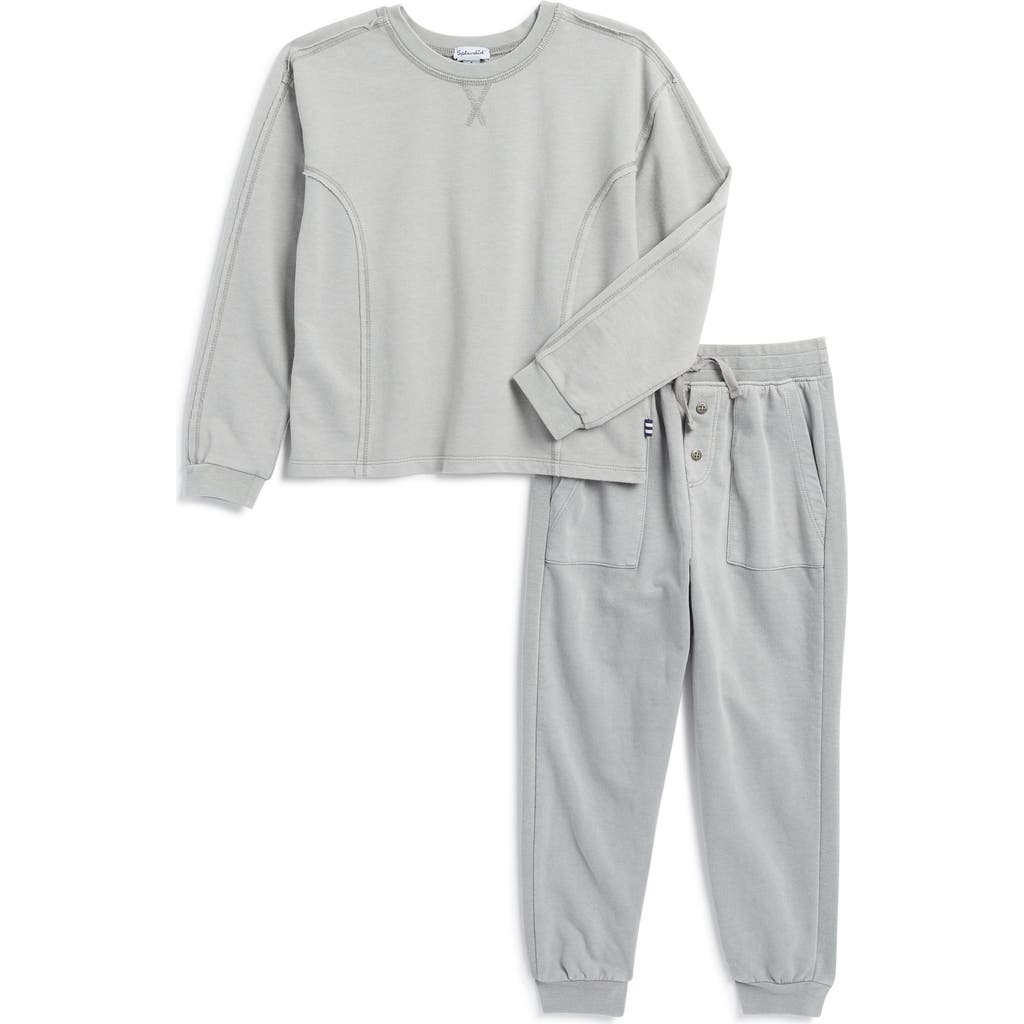 Splendid Little Boy's 2-piece T-shirt & Joggers Set In Cement