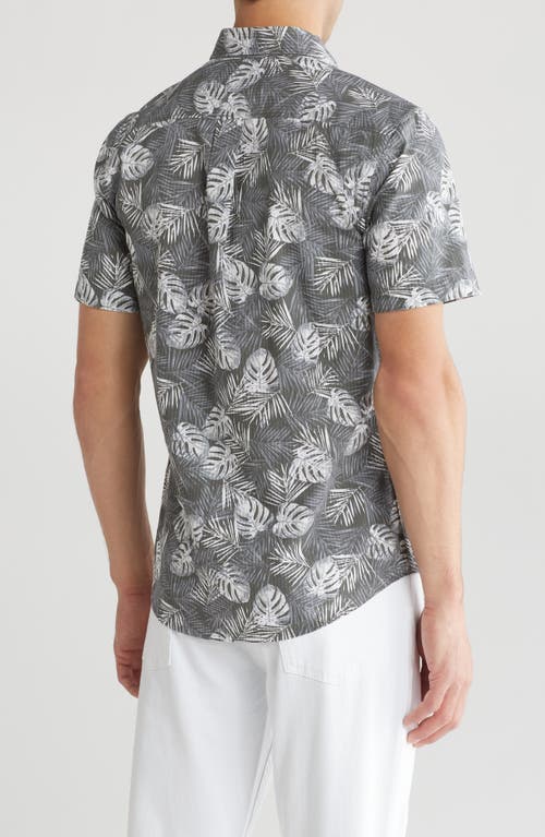 Shop 14th & Union Palm Print Seersucker Button-down Shirt In Grey- White Exotic Palms