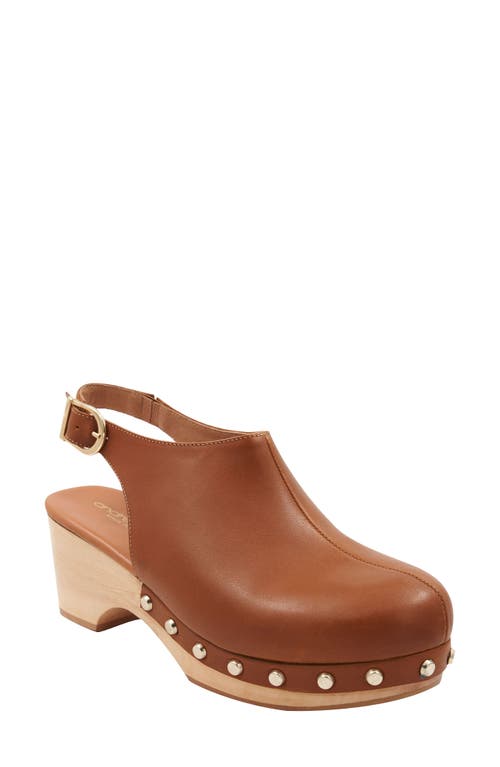 André Assous Skylar Stud Slingback Clog in Caramel at Nordstrom, Size 5