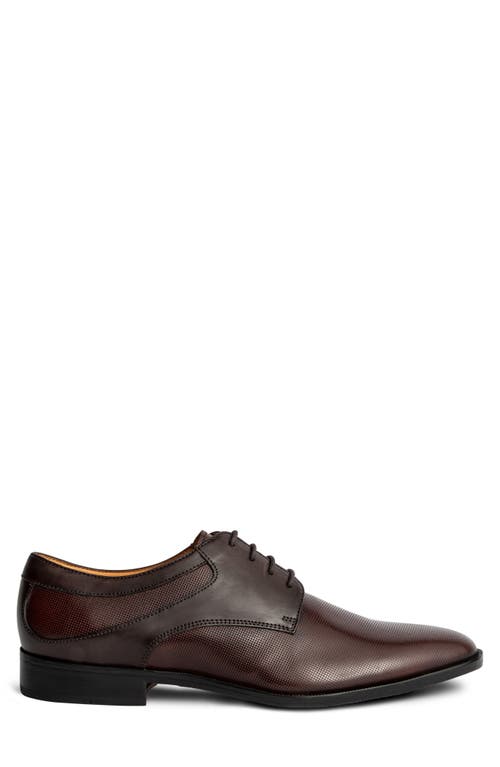 Carlos Santana Power Print Derby In Brown