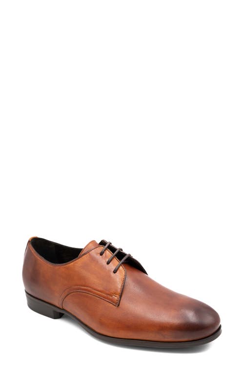 G Brown Conway Derby in Tan
