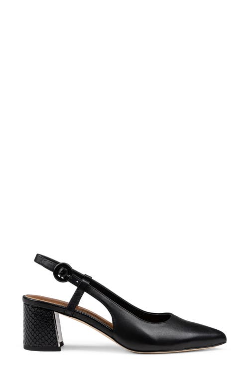 Shop Donald Pliner Song Slingback Pointed Toe Pump In Black