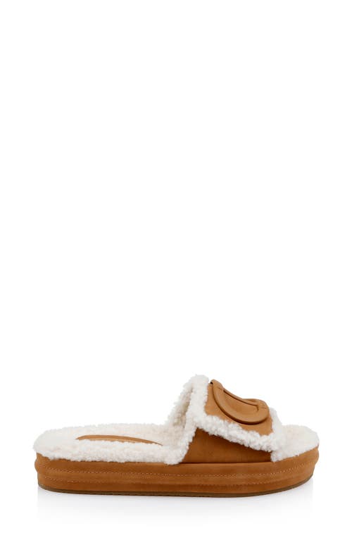 Shop Dee Ocleppo Lima Genuine Shearling Platform Sandal In Biscotti