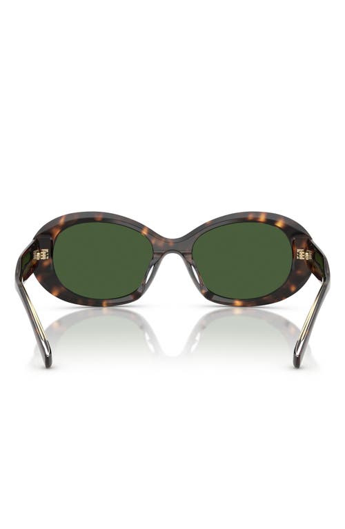 TORY BURCH TORY BURCH 53MM OVAL SUNGLASSES