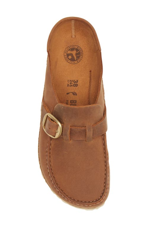 Shop Birkenstock Buckley Clog In Cognac