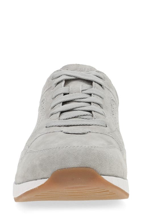 Shop Dansko Catie Sneaker In Grey Suede