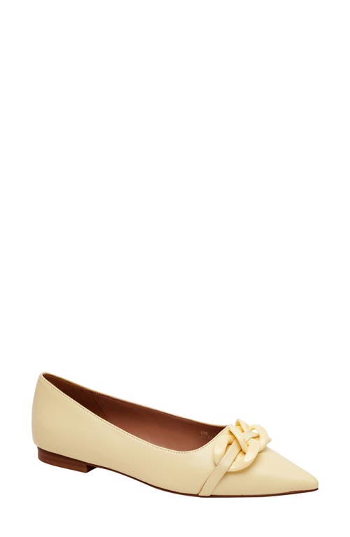 Linea Paolo Nora Pointed Toe Flat at Nordstrom,
