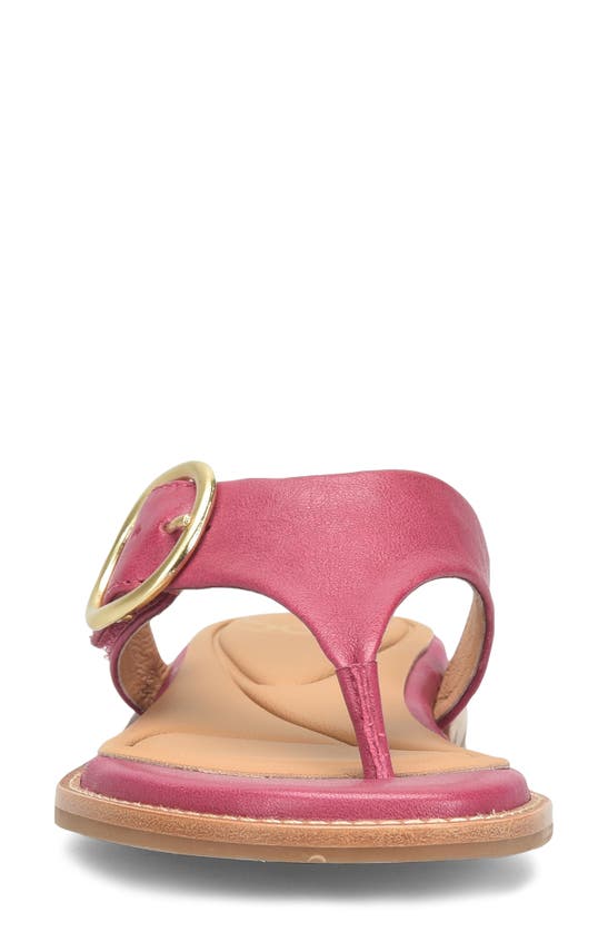 Shop Söfft Nancia Flip Flop In Raspberry