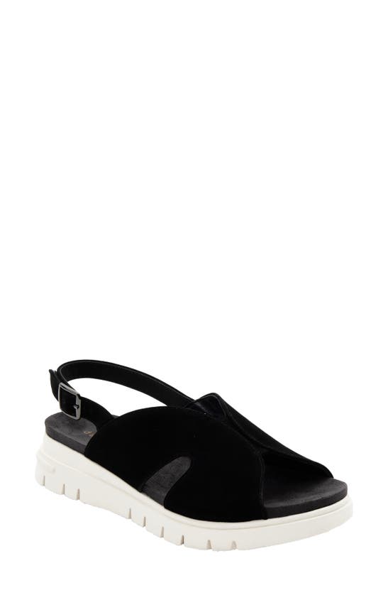 Shop David Tate Madona Unit Slingback Sandal In Black