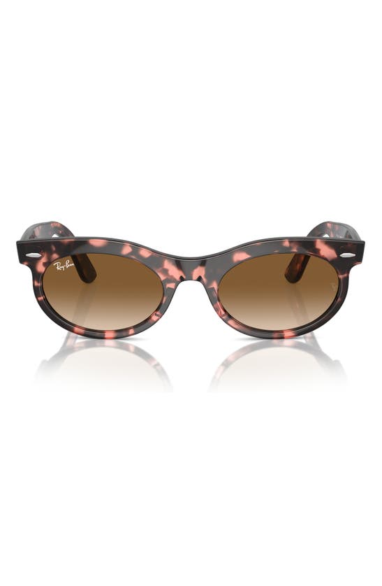 Ray Ban Wayfarer 50mm Oval Sunglasses In Havana Pink