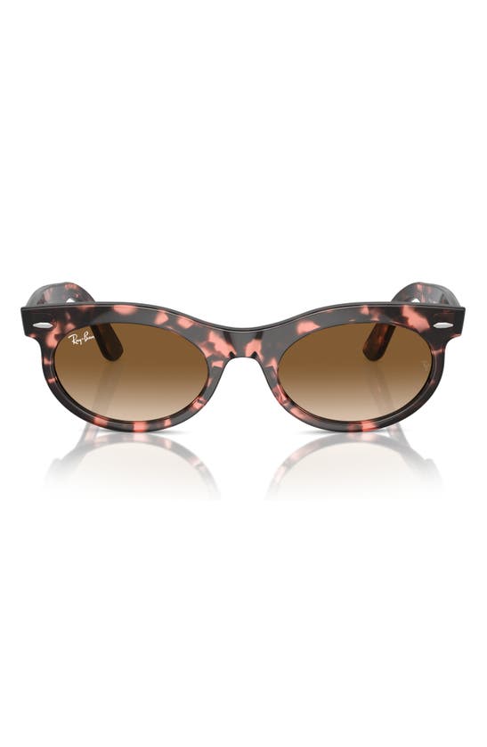 Shop Ray Ban Wayfarer 53mm Oval Sunglasses In Havana Pink