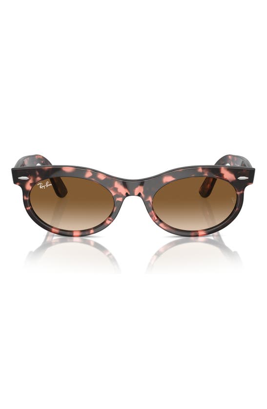 Ray Ban Wayfarer Oval Sunglasses Pink Havana Frame Brown Lenses 53-22 In Havana Pink