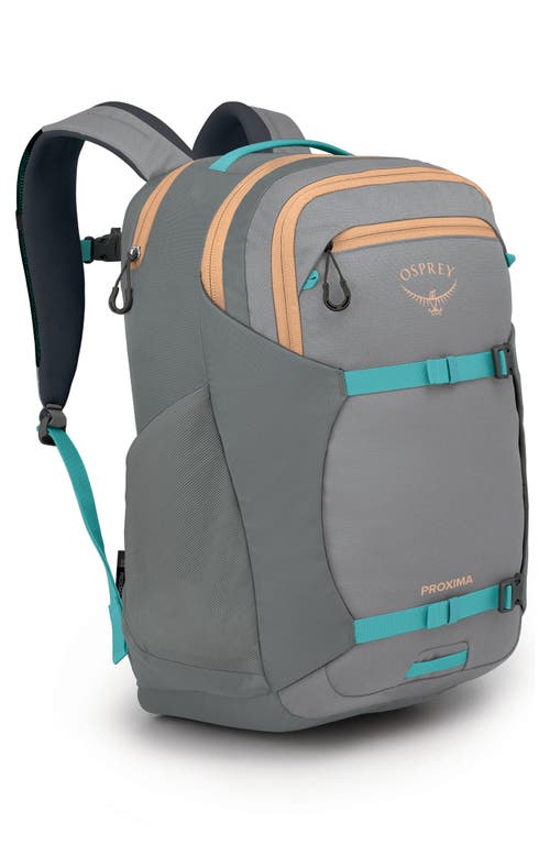 Shop Osprey Proxima 30-liter Campus Backpack In Medium Grey/coal Grey