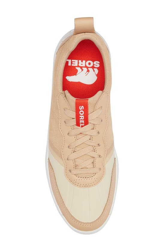 Shop Sorel Ona 503 Low Top Platform Sneaker In Ceramic/ Bleached Ceramic