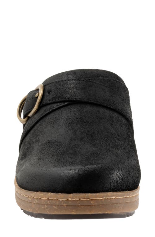 Softwalk ® Asmara Platform Mule In Black Suede