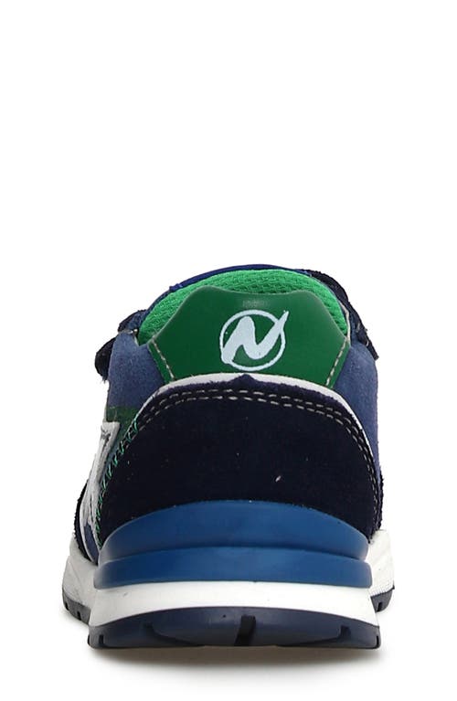 Shop Naturino Kids' Roy Sneaker In Navy-azure-green