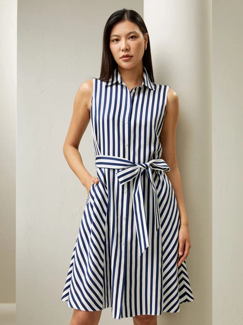 Shop Lilysilk Silk Striped Sleeveless Dress In Blue-white-pinstripes