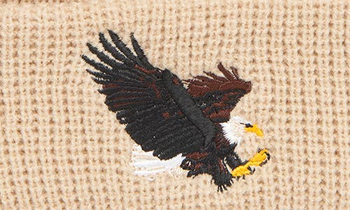 Shop Goorin Bros . Eagle Rib Beanie In Khaki